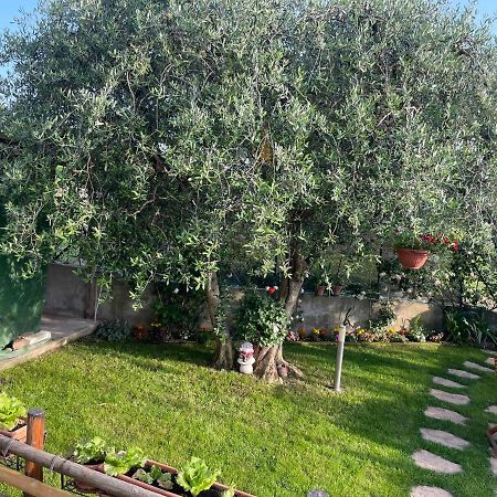 Casa Vacanze Collina Del Lago Pastrengo Extérieur photo